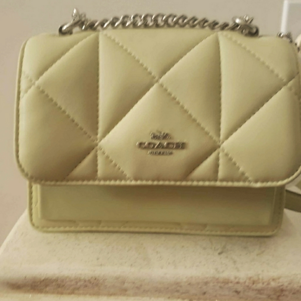 Light green coach bag and matching wallet